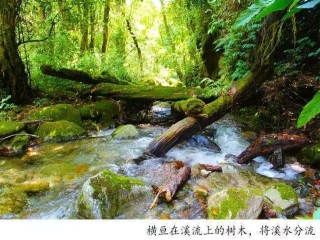 騰沖戶外徒步丨林家鋪，剛好18°C