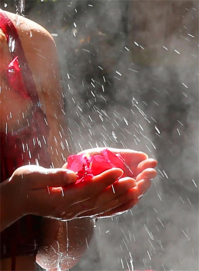 3510-3587e393b029b32636dd7124d40287c6